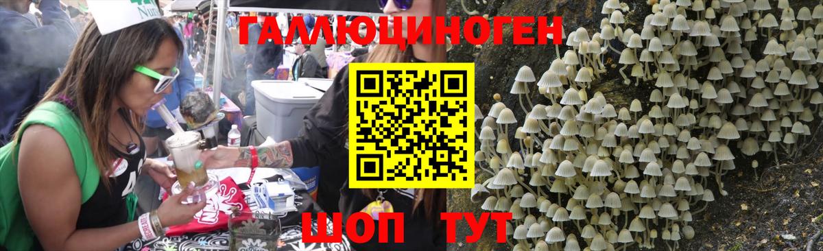 Псилоцибиновые грибы MAGIC MUSHROOMS  купить наркотики цена  Псилоцибиновые грибы MAGIC MUSHROOMS  Балашов  Вход с VPN 